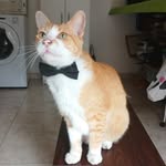 Carlos Murray Quiñones - @herrlichmurray - Instagram