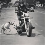 juan carlos murray - @murrayjuancarlos - Instagram