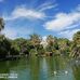 Carlos Novais - Facebook