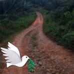Carlos Pascal - Facebook