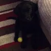 carlos_payton - @carlos_payton - TikTok