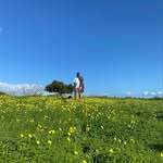 Carlos Pereira - @carlosmpereiraa - Instagram