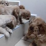Carlos Espinoza Pompa - @carlos_espinoza_pompa - Instagram