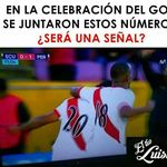 carlos corelloni pongo - @carloscorelloni - Instagram