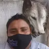Carlos Pool - @carlospool02 - TikTok