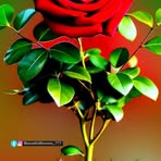 Carlos Bella - Facebook