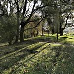 Carlos prendes - @carlos_prendes - Instagram