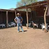 carlospuelles - @carlospuelles - TikTok