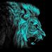 Carlos Rainho - Facebook