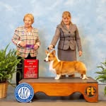 Carlos Alvarado Randolph - @corgi_randolphkennel_ags_mx - Instagram