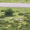 robertcarlos - @robert._.carlos - TikTok