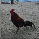 D Carlos Rucker - @rucker9961 - Instagram