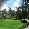 Carlos Silvera - @carlos.silvera16 - TikTok