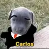 Carlos Sol - @carlos.sol8 - TikTok