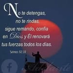 Carlos Sun - @carlos.sun.733 - Instagram