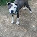 Carlos Terrell - Facebook