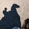 carlosterrones92 - @carlosterrones92 - TikTok
