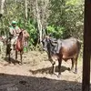 Carlos Torrez - @carlos.torrez563 - TikTok