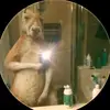 Carlos Torrez - @carlos.torrez597 - TikTok