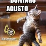 Carlos Vigil - @carlosgaleas58 - Instagram