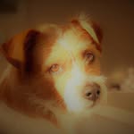 Carlos Weiß - @carlos.2011_ - Instagram