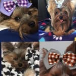 Carlotta&Bernard - @lotta_be_ - Instagram