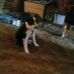 Carlotta Fleming - Facebook
