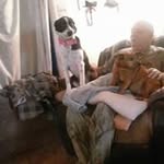 Carlotta Fleming - @carlottafleming - Instagram