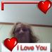 Carlotta Fleming - Facebook