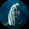 Charlotte Fleming - @charlotte.fleming693 - TikTok