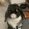 C 🤪 - @carlotta._henry11 - TikTok
