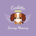 Carlotta Cavalier King & Friends - @carlotta_loving_memory - Instagram