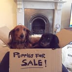 Carlotta Lowe - Facebook
