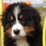 Gastone Carlotta Filippo - @gastonecarlotta - Instagram