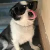 carltonjhackett - @carltonjhackett - TikTok