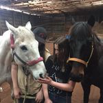 Carly Bacon Katelyn Girouard - @rs_horses19 - Instagram