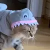 Carly - @carly.baum - TikTok