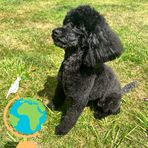 Carly Chadwick - Facebook
