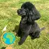 Carly Chadwick - @carly.chadwick23 - TikTok