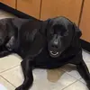 Carley Chandler - @carley.chandler0 - TikTok