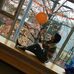 Carly Chen - Facebook