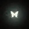 𝓒𝖺𝗋𝗅𝗒 𝗅𝗏𝗌 𝓗𝗒𝗎𝗇 ! ♡ - @carlycloudie - TikTok