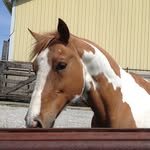 Carly Cloud - @carly_cloud_26 - Instagram