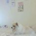 Carly Cloud - Facebook
