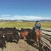 carly.cloud - @carly.cloud.26 - TikTok