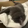 Carly corbin - @carly.corbin4 - TikTok