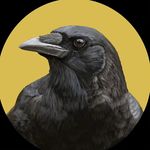 Carly Crow - @corvid.illustration - Instagram