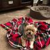 Carla D'angelo - Facebook