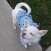 Carly Deeann - Facebook