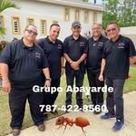 Carly De León - @grupoabayarde - Instagram